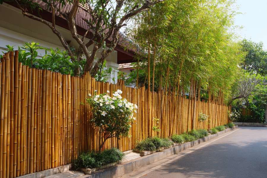 Bamboo Fencing